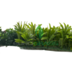 placa artificial floresta tropical